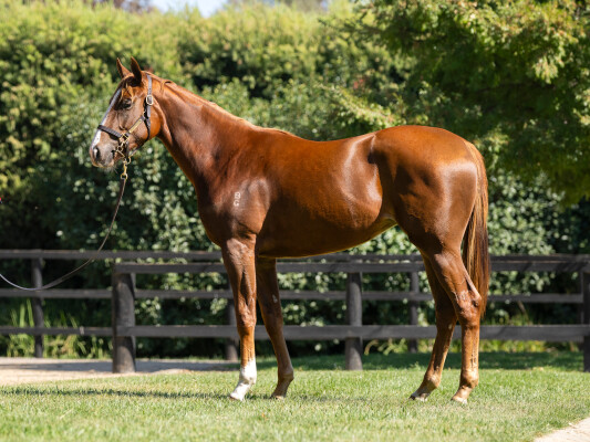 Lot 96: Russian Revolution / The Deepest Secret