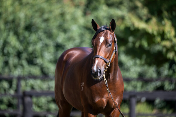 Lot 29: Stay Inside / Prosecution