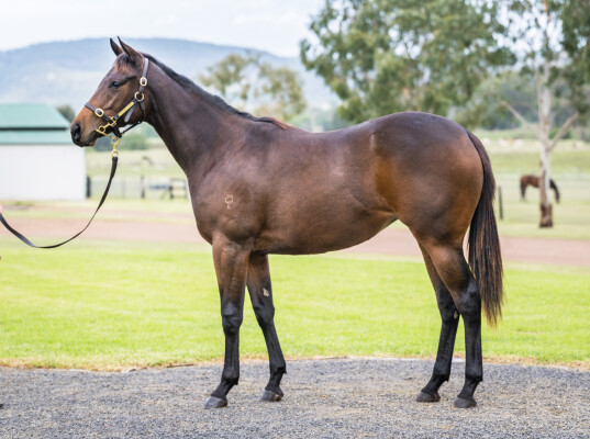 Lot 98: Overshare / There's Only One