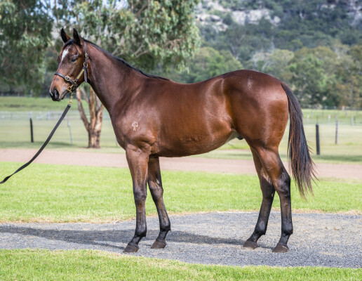 Lot 164: Shamus Award / Brilliant Bisc