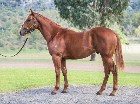 Lot 185: Impending / Containment