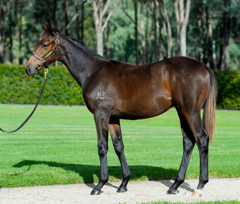 Lot 5: All Too Hard / National Anthem