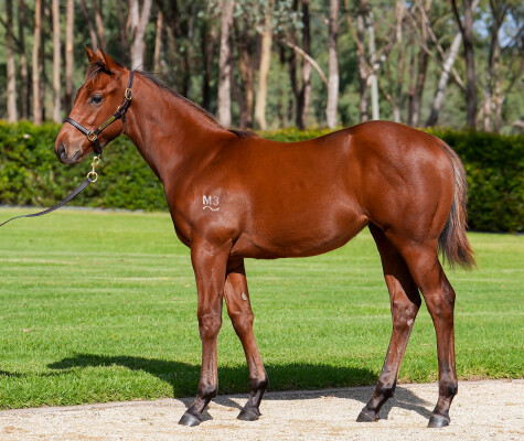 Lot 373: Farnan / Escape Artist
