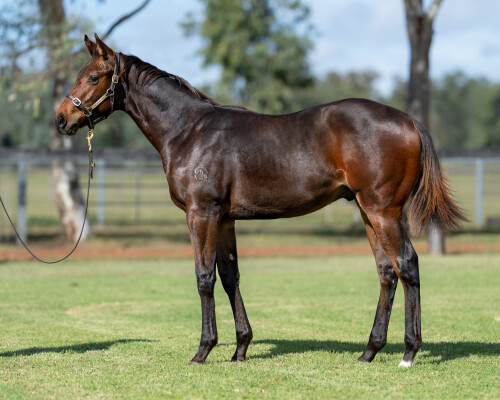 Lot 354: Cosmic Force / Don'tspoiltheparty