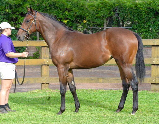 Lot 106: Alabama Express / Tydiva