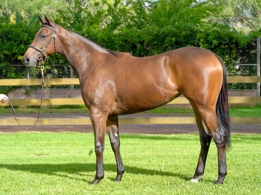 Lot 56: Acrobat / Sharp Tune