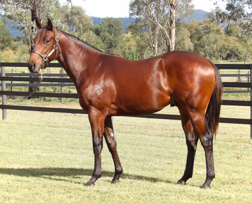 Lot 66: Russian Revolution / Silk Slippers