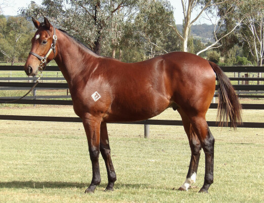 Lot 172: Acrobat / Catalina Miss