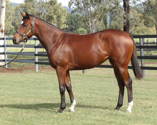 Lot 179: Russian Revolution / Chillaxing