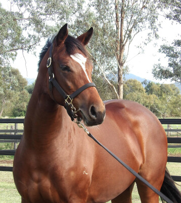 Lot 179: Russian Revolution / Chillaxing