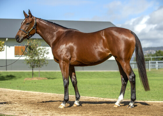 Lot 2: Alabama Express / Erato