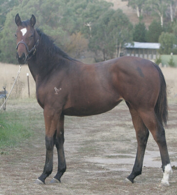 Lot 456: Thomas the Tank / Jueun in New York