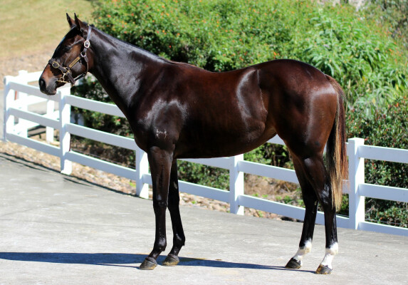 Lot 271: D'Argento / Make a Ripple