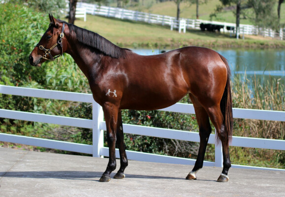 Lot 276: Castelvecchio / Mansera (FR)