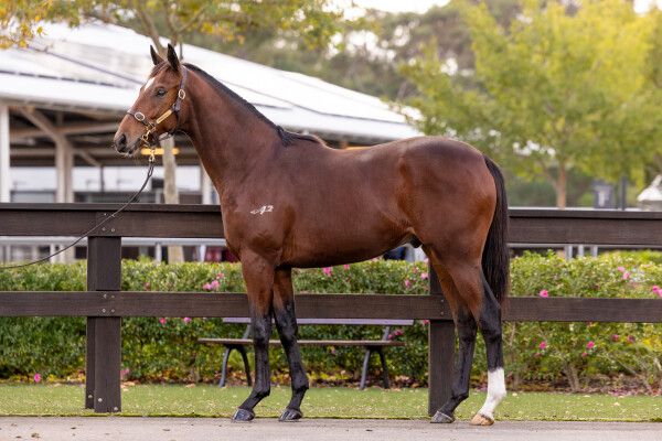 Lot 238: Gold Standard / Impossibly