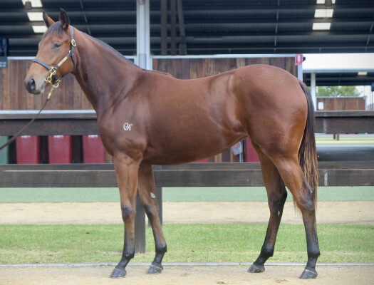 Lot 294: Profiteer / More Excitement