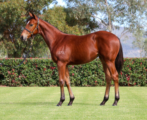 Lot 98: Stay Inside / Salsa Bella (FR)