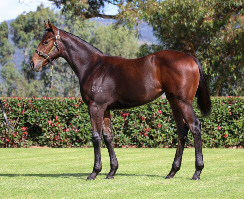 Lot 302: Stay Inside / Cap Estel