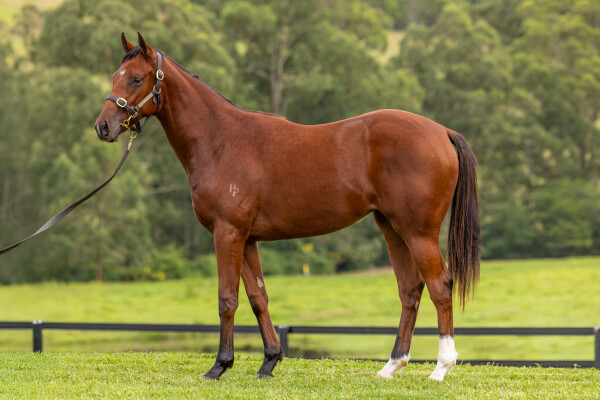 Lot 18: The Autumn Sun / Peggy Selene