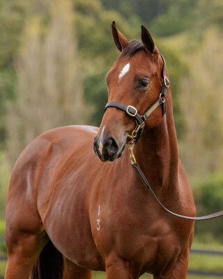 Lot 296: Yes Yes Yes / Morning Bay
