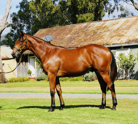 Lot 86: Unite and Conquer / Sunday Special