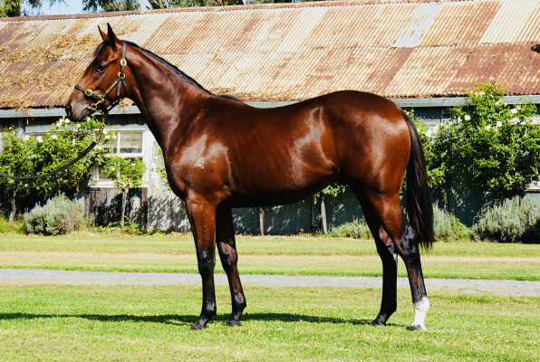 Lot 94: Hellbent / Temper Tantrum