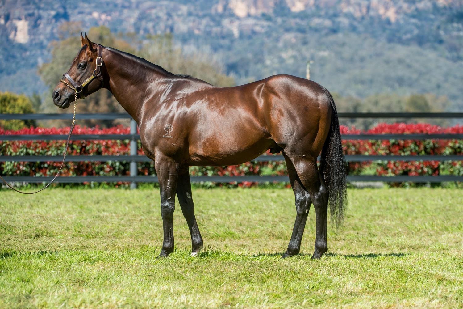 Zoustar share headlines capacity April (Late) catalogue