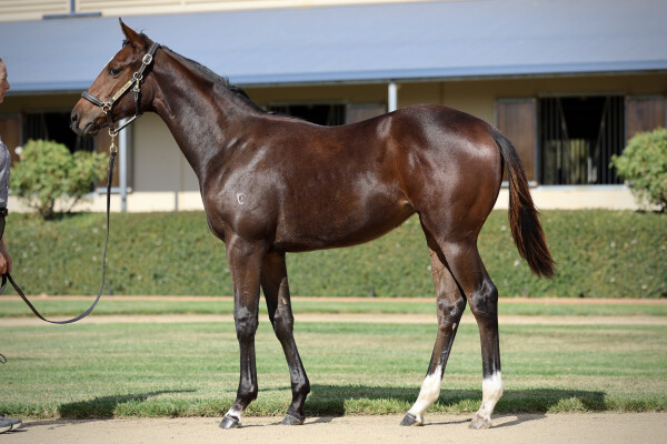 Lot 120: Stay Inside / Sheidel