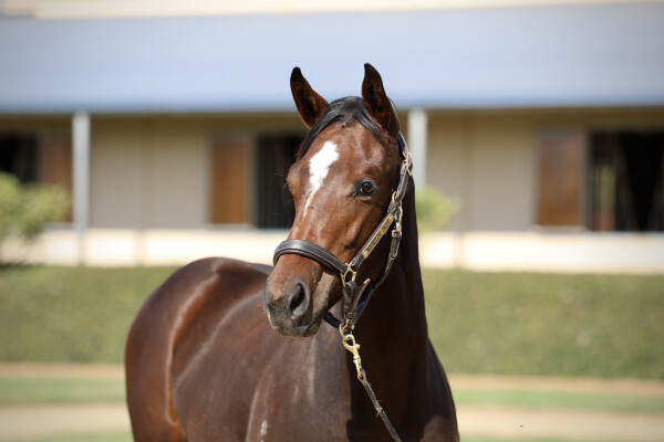 Lot 120: Stay Inside / Sheidel