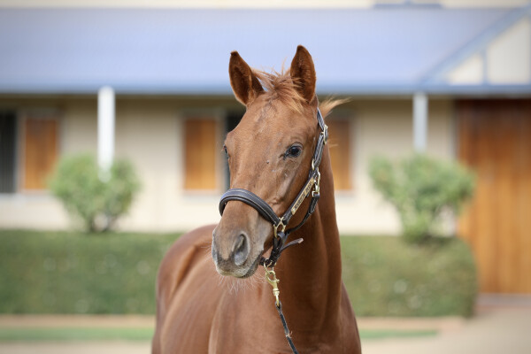 Lot 287: Home Affairs / Blue Grass Music (USA)