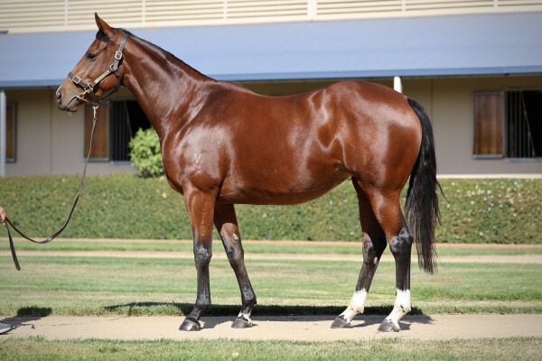 Lot 38: I Am Invincible / Peace Force