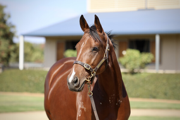 Lot 38: I Am Invincible / Peace Force