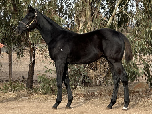 Lot 396: Dirty Work / Forgotten Promises