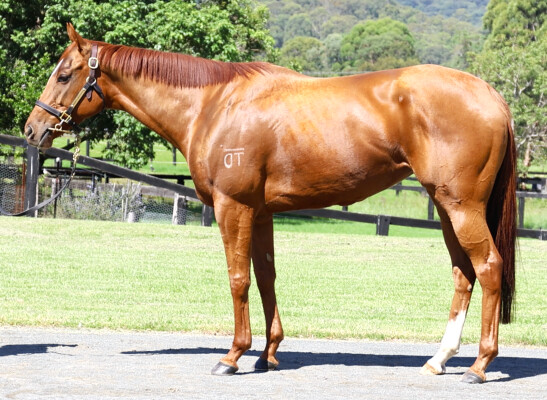 Lot 19: Pariah / My Obsession