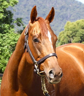 Lot 19: Pariah / My Obsession