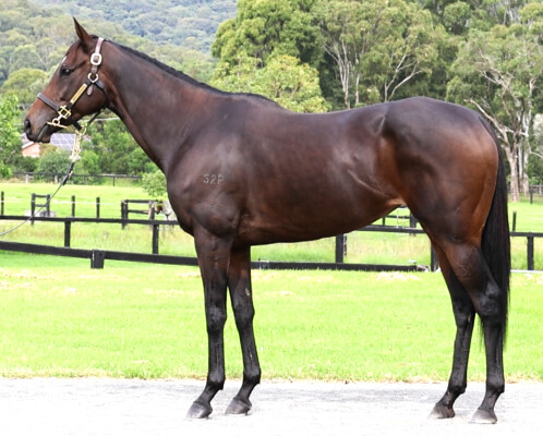 Lot 30: Domesday / Antique Belle