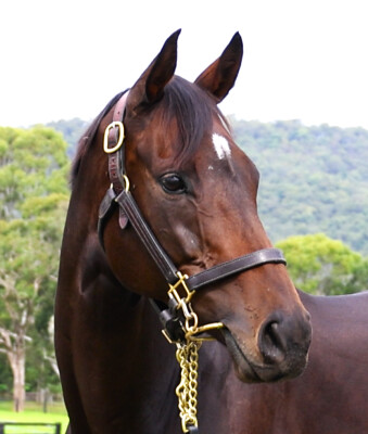 Lot 30: Domesday / Antique Belle