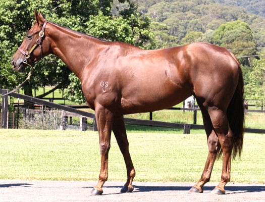 Lot 42: Capitalist / Ganda