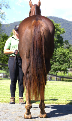 Lot 42: Capitalist / Ganda