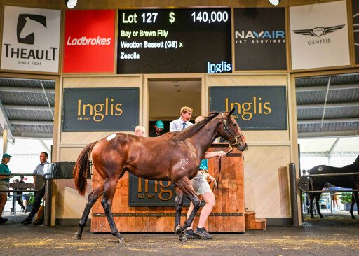 Wootton Bassett filly tops strong HTBA Sale