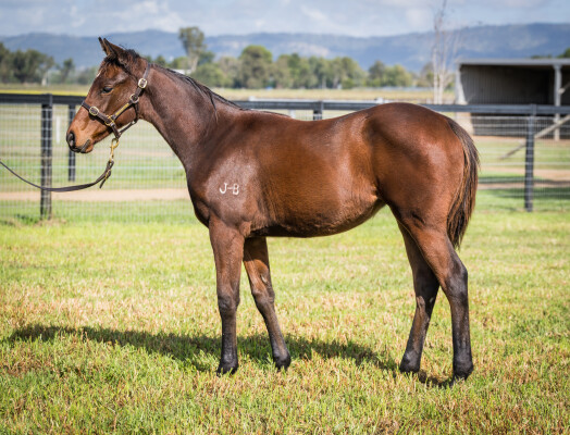 Lot 84: Capitalist / Rockolicious