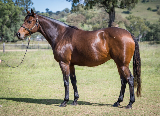 Lot 265: Dissident / Prophet Jewel