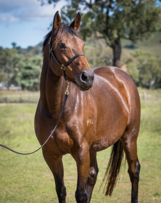 Lot 265: Dissident / Prophet Jewel