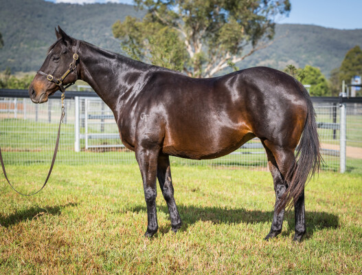 Lot 283: Rothesay / Jade Cherie