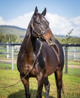 Lot 283: Rothesay / Jade Cherie