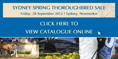 Sydney Spring Thoroughbred Sale