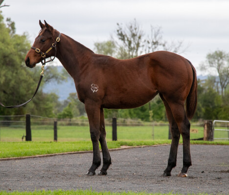 Lot 88: Tassort / Rosato