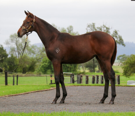 Lot 200: Too Darn Hot (GB) / Two for the Road