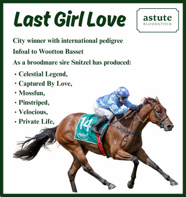 Lot 76: Snitzel / De Lago Mist