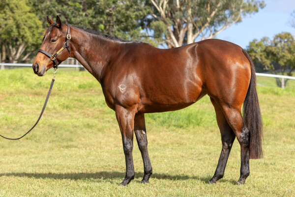 Lot 90: The Autumn Sun / Talimena